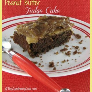 Peanut Butter Fudge Cake with Coconut Pecan Frosting