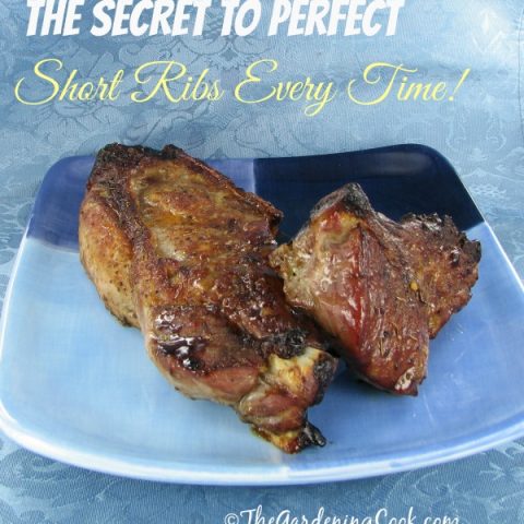 The Secret to perfect BBQ Short Ribs
