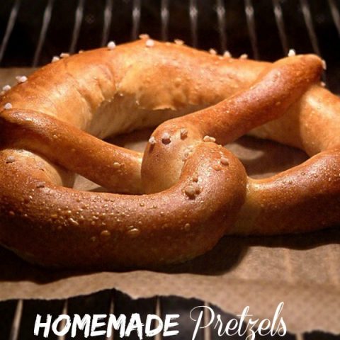 Cinnamon Sugar Pretzel