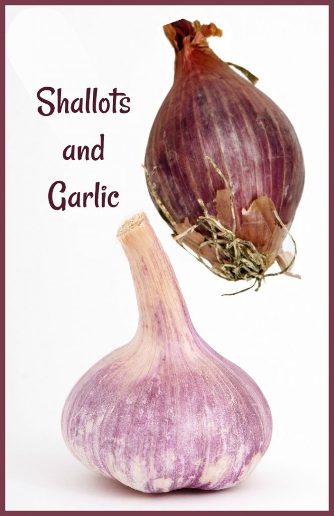 Shallots vs Onions What is the Difference? and How to Use Them