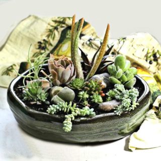 Pretty bowl of succulents.