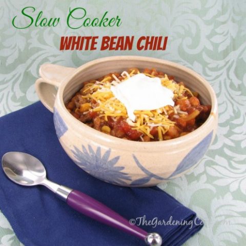 Savory Hearty White Bean Chili
