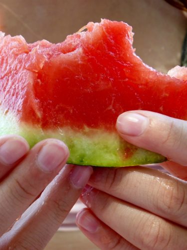 Watermelon Facts Sunlight Needs Varieties Trivia And Questions 