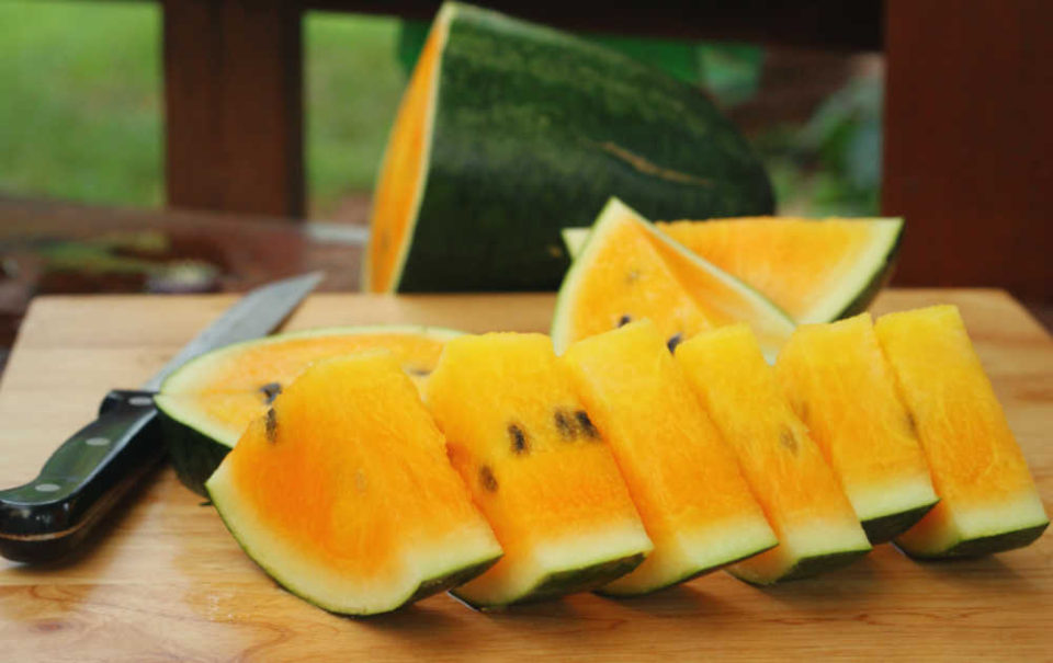 Watermelon Varieties Understanding the Different Types of Watermelons