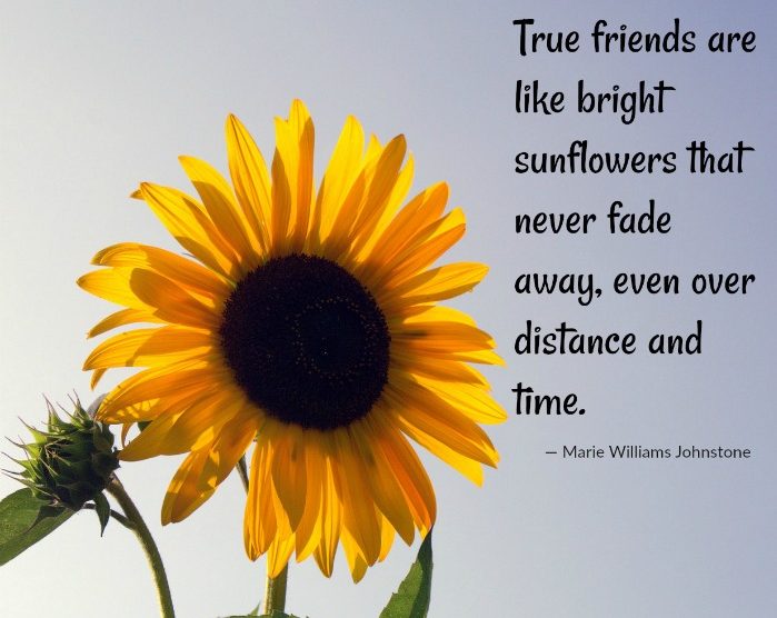true friends sunflower quote by Marie Williams Johnstone.