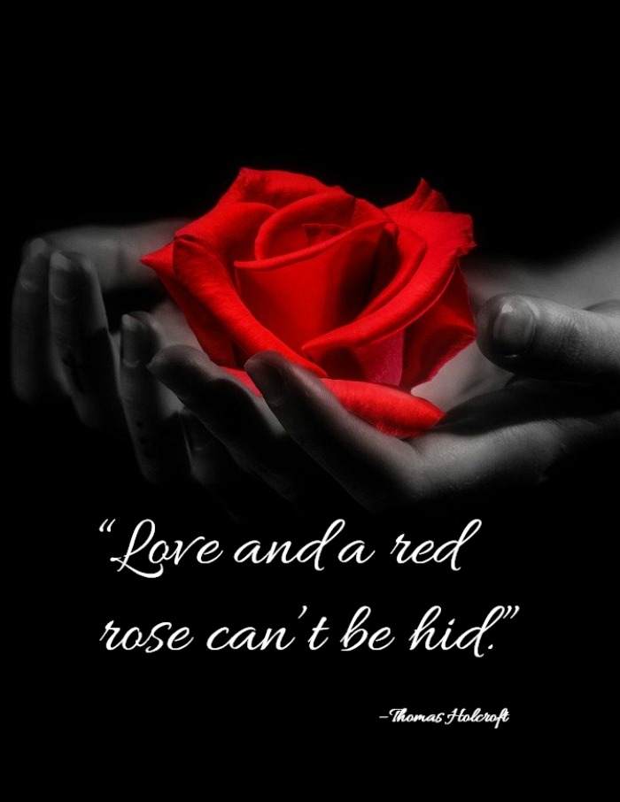 Romantic Rose Quotes 20 Best Rose Love Quotes With Images,Green Onion Recipes
