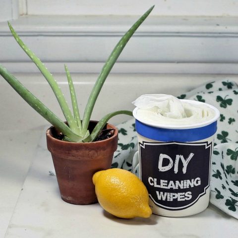DIY cleawnig wipes