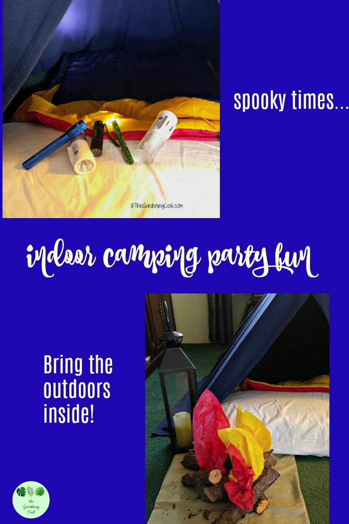 Indoor Camping Party Ideas