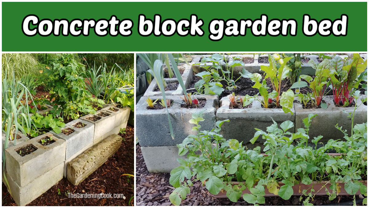 Pictures of a concrete block garden bed used to grow vegetables.