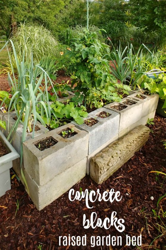 Raised Bed Vegetable Garden Concrete Blocks Planter for Small Spaces