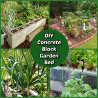 Pictures of a DIY concrete block garden bed DIY.
