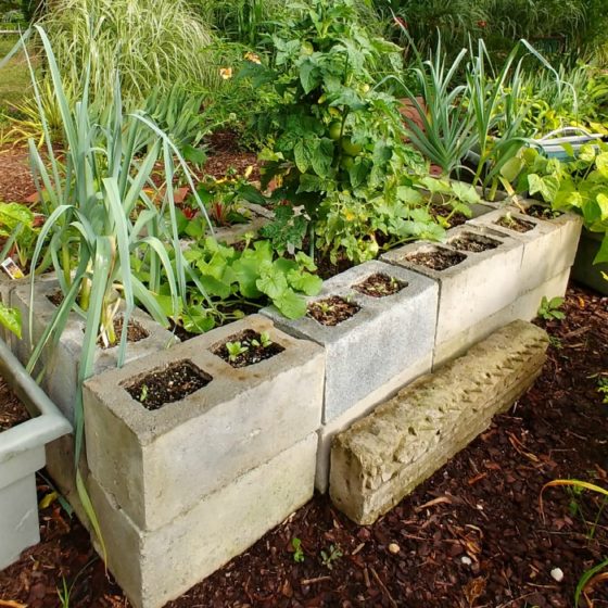 Raised Bed Vegetable Garden Concrete Blocks Planter for Small Spaces