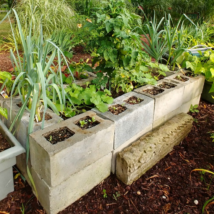 raised garden bed made from concrete blocks