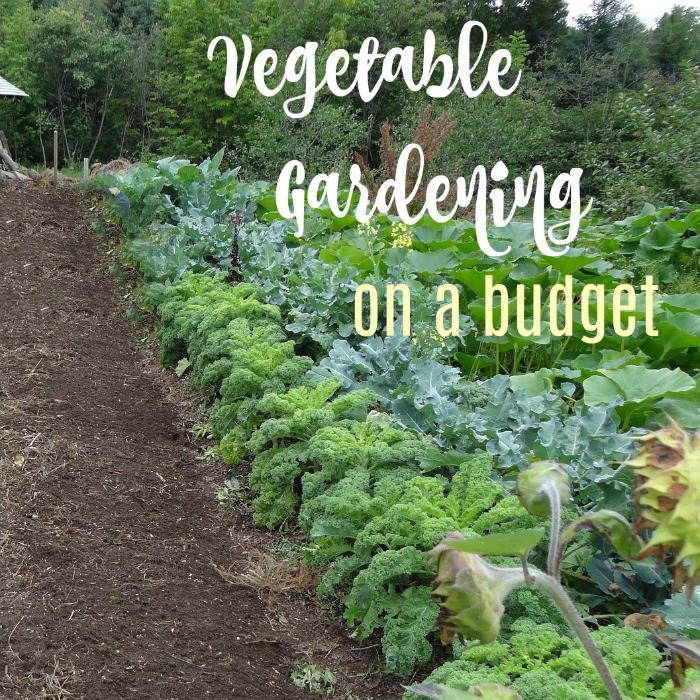 Diy Garden Ideas On A Budget 30 Inexpensive Vegetable S - Diy Garden Ideas On A Budget