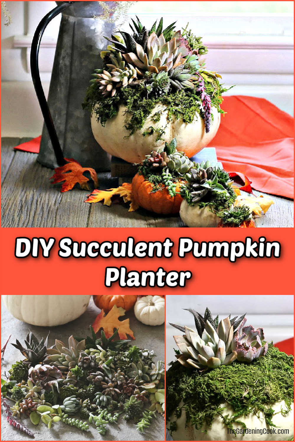 How to Make a DIY Succulent Pumpkin Planter A DIY succulent pumpkin planter display and two photos showing how to make them.