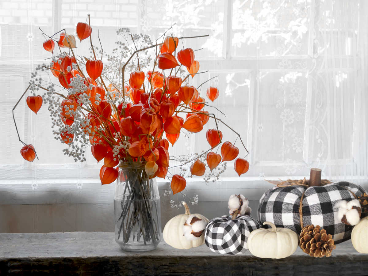 Chinese lantern plant pods in vase near some fabric pumpkins.