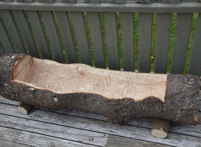 Log with hollowed out area for planting