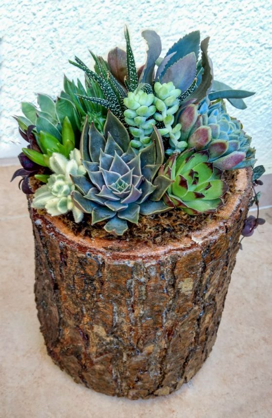 25+ Log Planters Eco Friendly Planters How to Make a Log Planter
