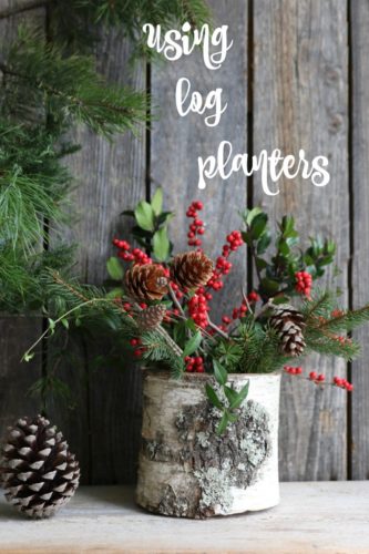 25+ Log Planters - Eco Friendly Planters - How to Make a Log Planter