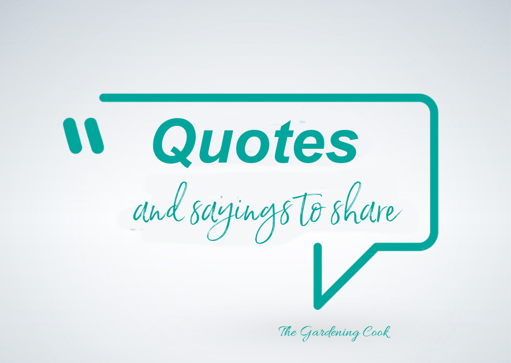 Quotes and sayings to share Teal Quote bubble with the words Quotes and sayings to share.