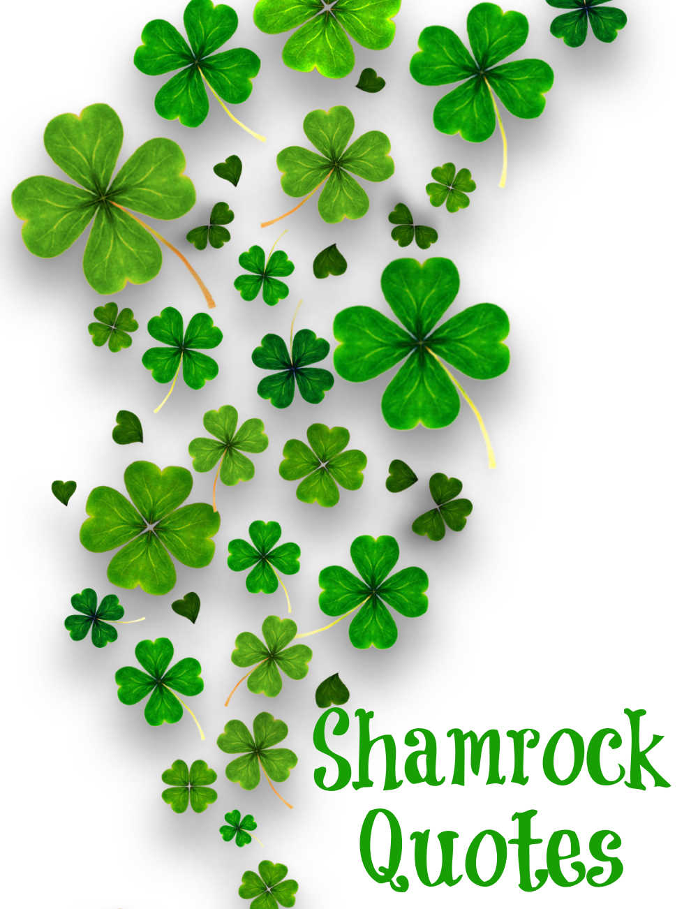 Shamrock quotes Shamrocks on a white background with words reading "Shamrock Quotes."