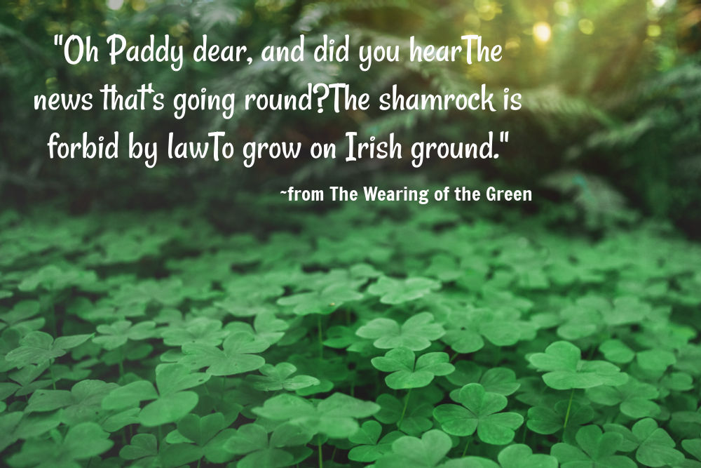 Wearing of the Green quote. Shamrocks in a field with quote from The Wearing of the Green.