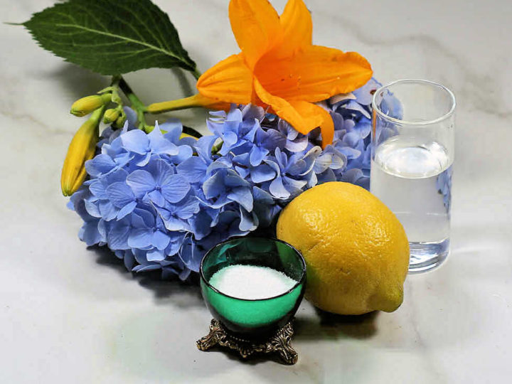 Homemade Flower Preservative Best Flower Site