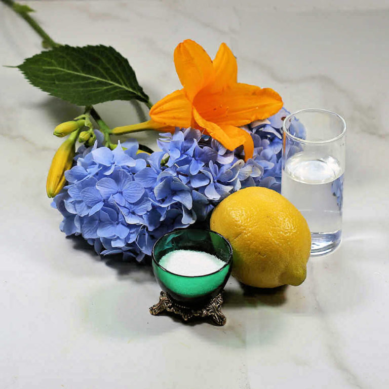 How to Keep Cut Flowers Fresh – 15 Tips for Making Cut Flowers Last