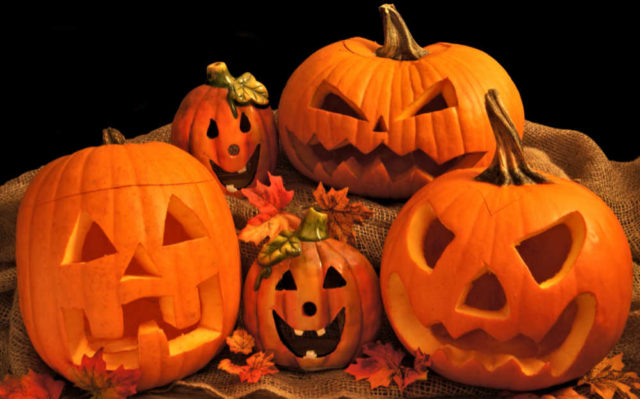Best Pumpkins for Carving - Tips for Picking the Perfect Pumpkin