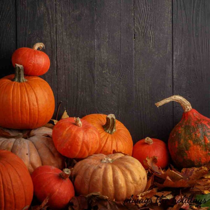 Stack of fall pumpkins.