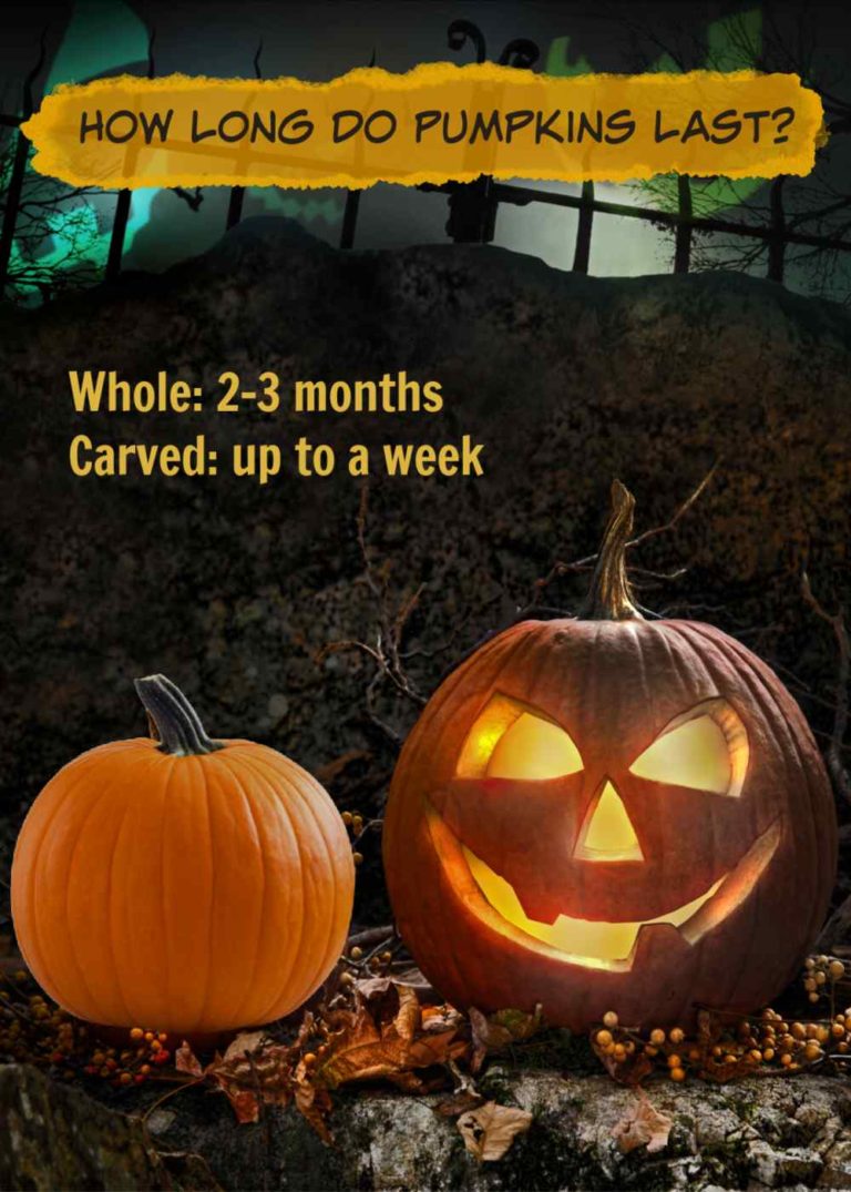 How to Preserve A Pumpkin Carving - Making Jack O Lanterns Last Longer