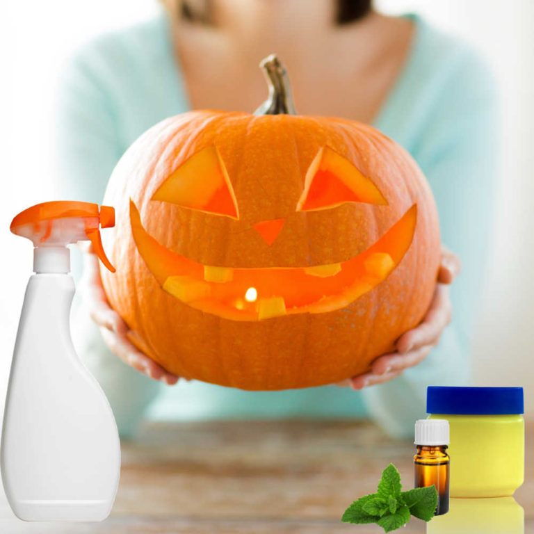 How to Preserve a Pumpkin Carving (and Whole Pumpkins Too)