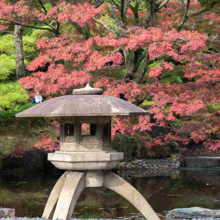 Pink flowering tree with Japanese lantern.