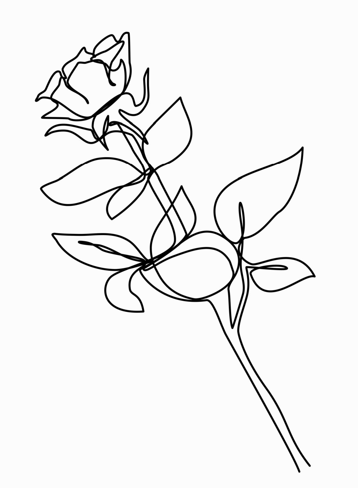 Illustration of a rose bud with leaves.