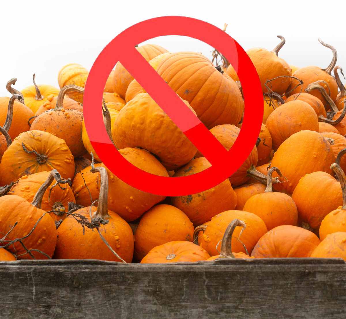 Stacked pumpkins with a no sign superimposed on them.