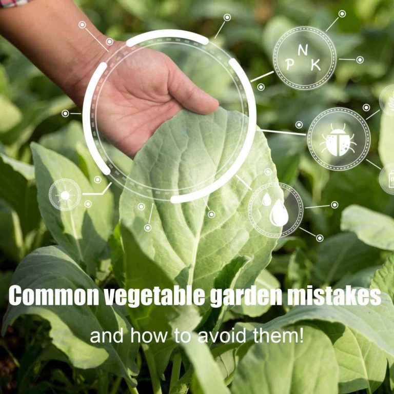 Hand holding a vegetable leaf with a circle and words common vegetable garden mistakes, and how to avoid them.