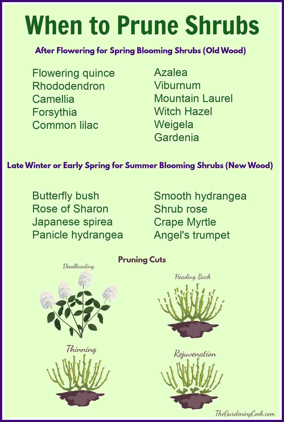 Printable showing types of pruning cuts and when to prune each type of shrub - both old and new wood.
