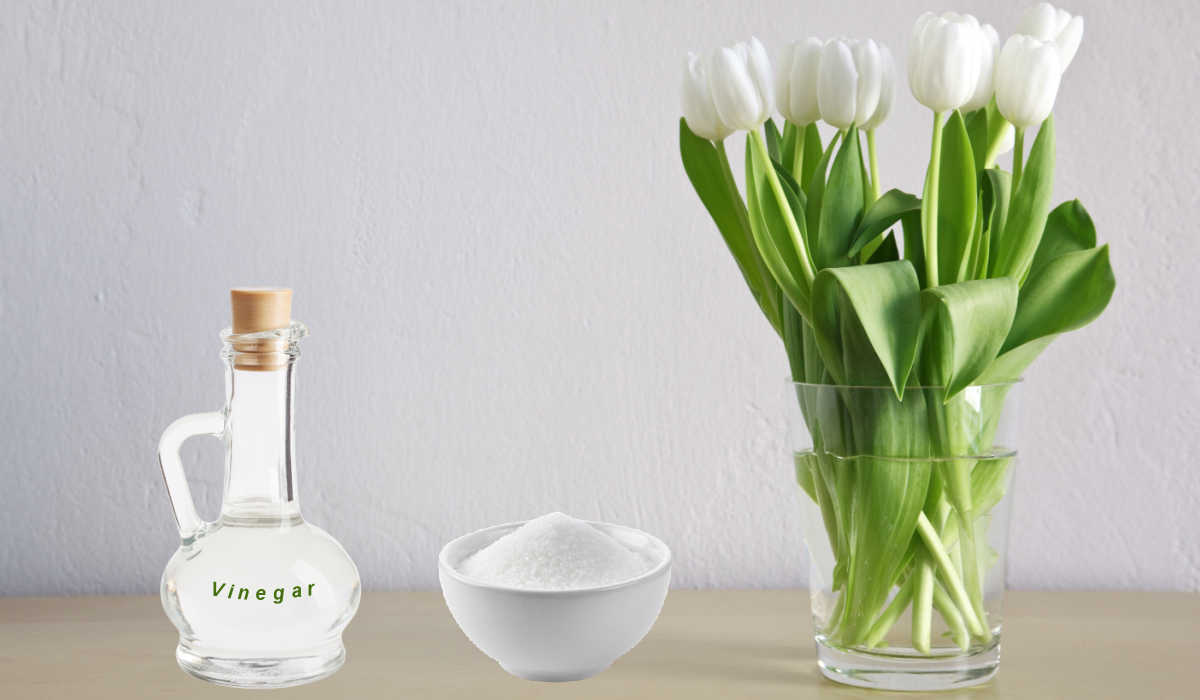 Vase of white tulips with vinegar and sugar in bowl and decanter.
