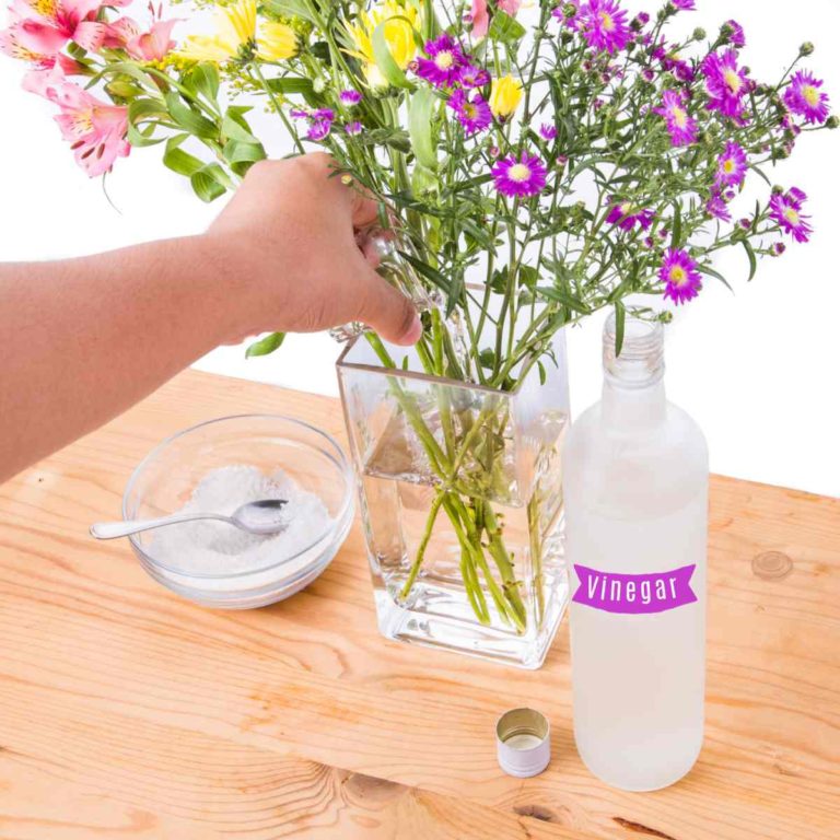Adding vinegar and sugar to flowers in a vase.