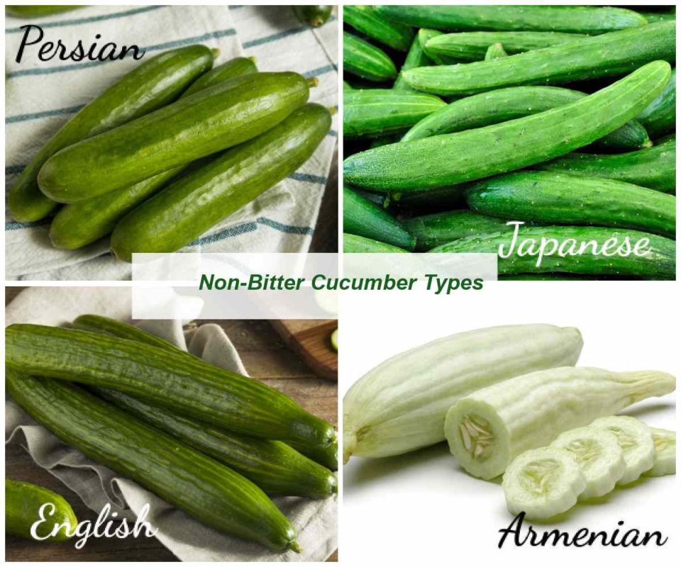 Why Are My Cucumbers Bitter? Are They Safe to Eat?