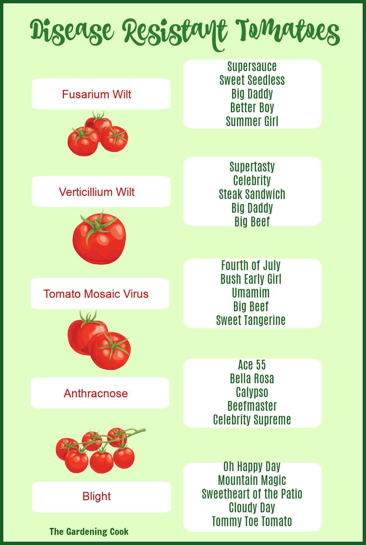 Varieties of tomatoes resistant to common tomato diseases.