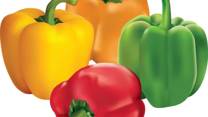 thumbnail interactive-video image 1 of 150 Rainbow Bell Pepper Seeds – Mix Of Sweet Red, Green, Yellow, Orange, Purple, Brown, & White – Seedville USA 1 of 3