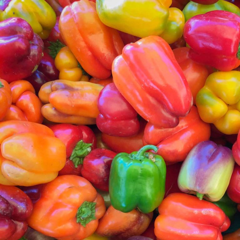 Bell Pepper Colors – Why Wont My Green Peppers Turn Red?