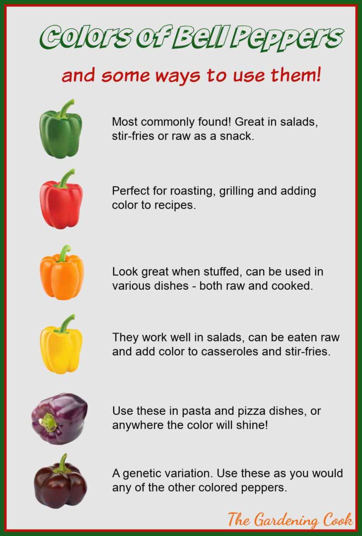 Bell Pepper Colors Why Wont My Green Peppers Turn Red?