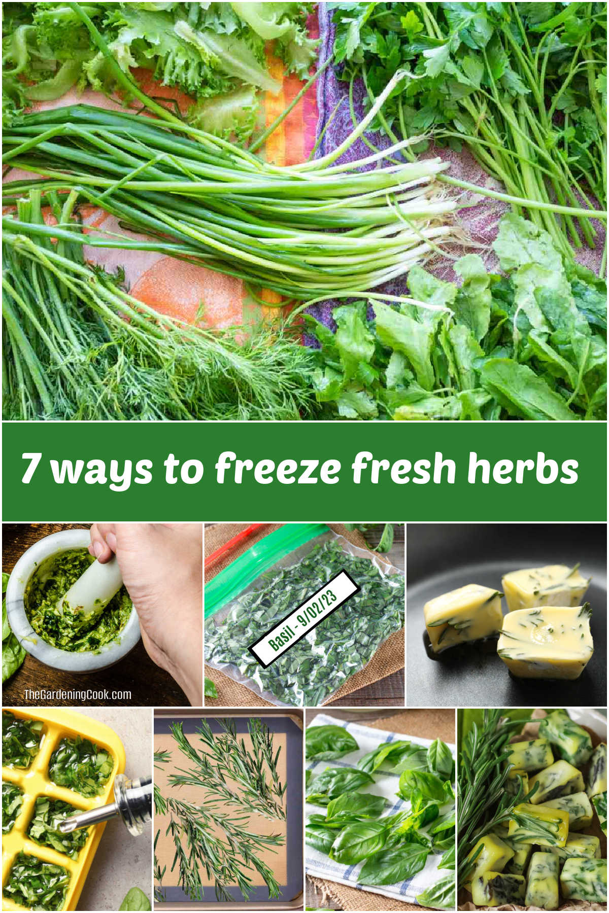 A collage showing 7 ways to freeze fresh herbs.