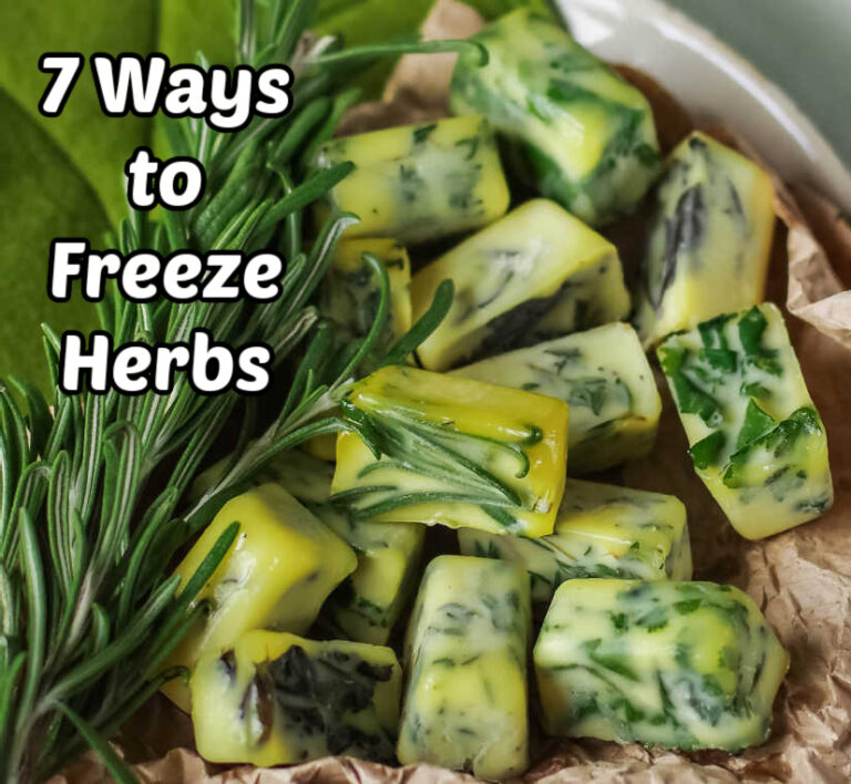 Frozen herbs in oil and fresh rosemary with words 7 ways to freeze herbs.