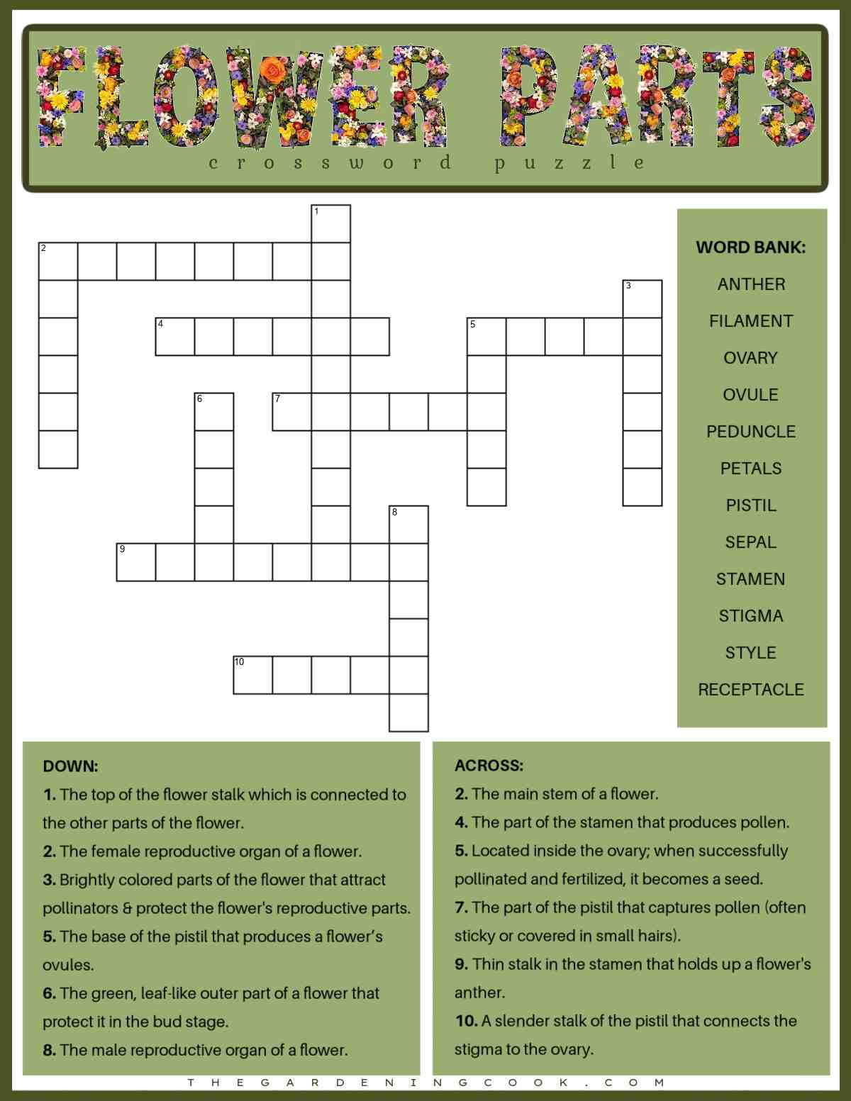 A flower parts crossword puzzle with the parts of a flower in a word bank to the right of the puzzle, the clues at the bottom, and a text overlay that says flower parts at the top made out of flowers.