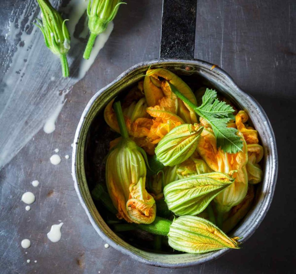 Stuffed Zucchini Flowers Recipe - Fried Squash Blossoms