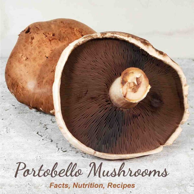 2 mushrooms with gills showing and words Portobello mushrooms, facts, nutrition, recipes.