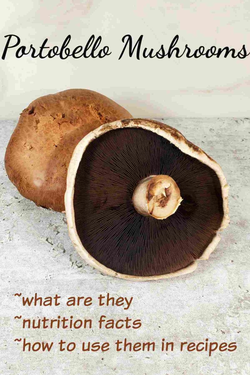 What are Portobello Mushrooms? Facts, Benefits, and Recipe Uses